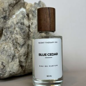 Bleu de Ch*nel Inspired Perfume