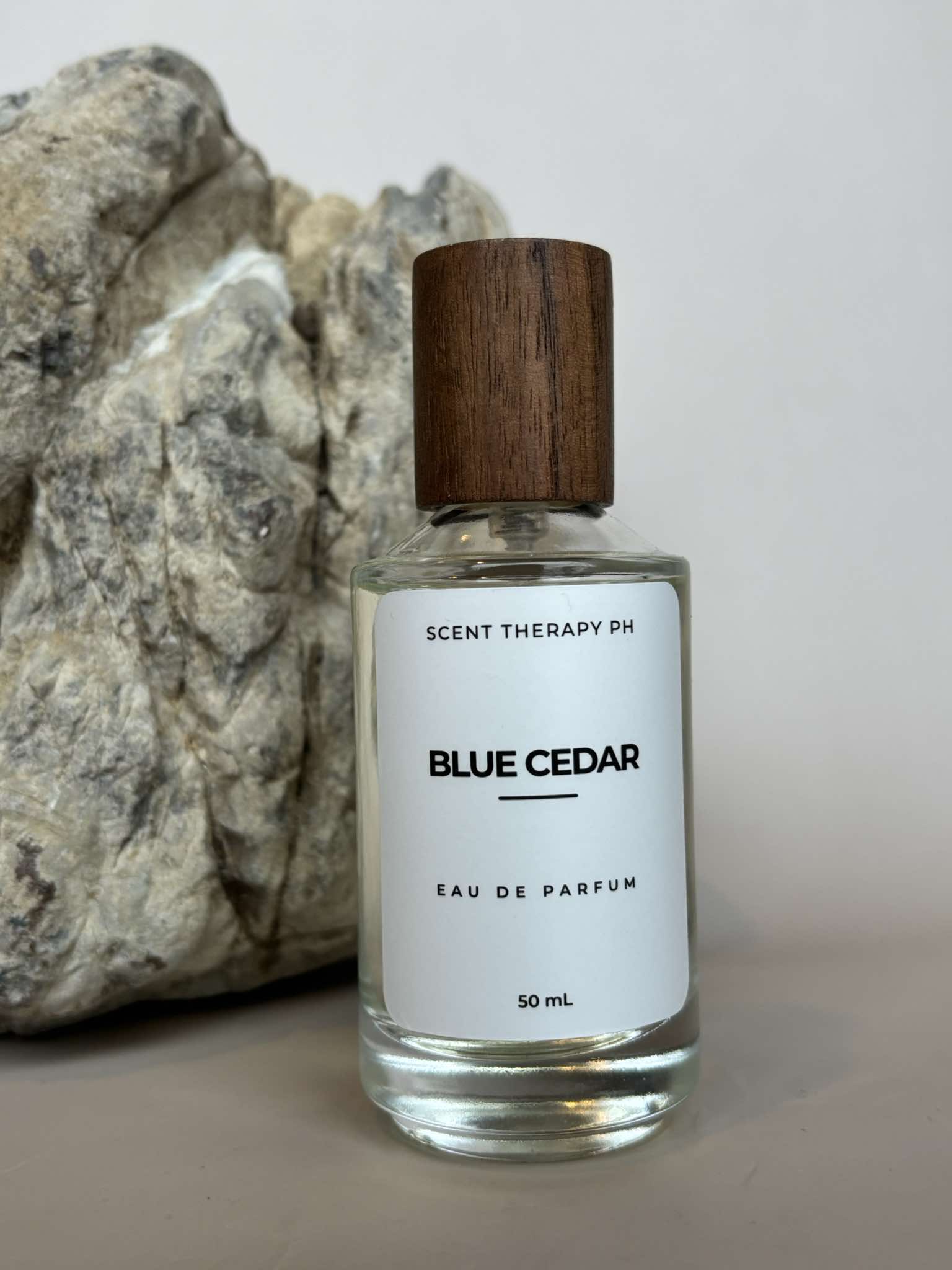 Bleu de Ch*nel Inspired Perfume
